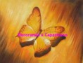 /album/prodotti-animali-2-farfalle-ed-insetti-vari/farfalla-su-legno-filigrana-jpg/